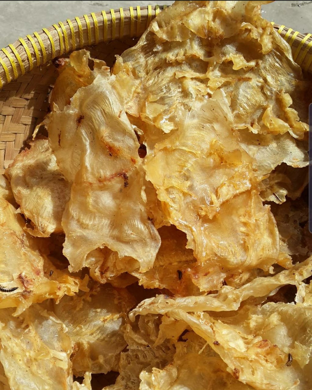 Dried Fish Maw Catfish